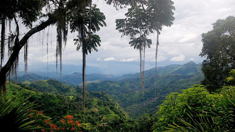 Rainy Season Costa Rica Mountains
