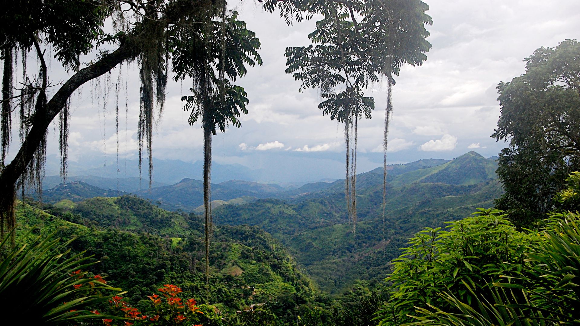 Rainy Season Costa Rica Mountains
